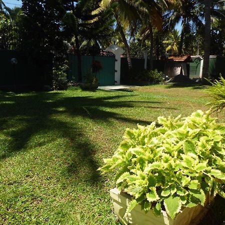 Villa W Bentota Eksteriør bilde