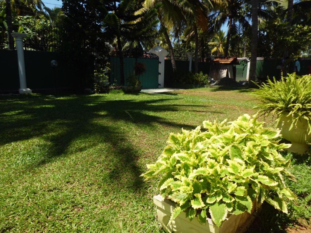 Villa W Bentota Eksteriør bilde